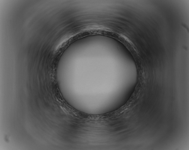 X0000102020775200807180942