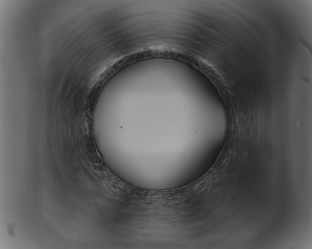 X0000102020776200807180942