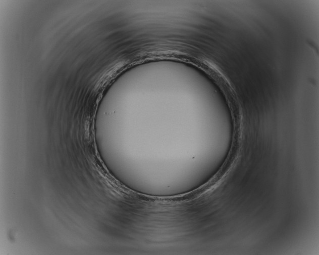 X0000102020777200807180942