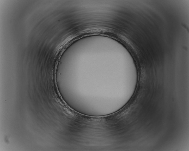 X0000102020778200807180942