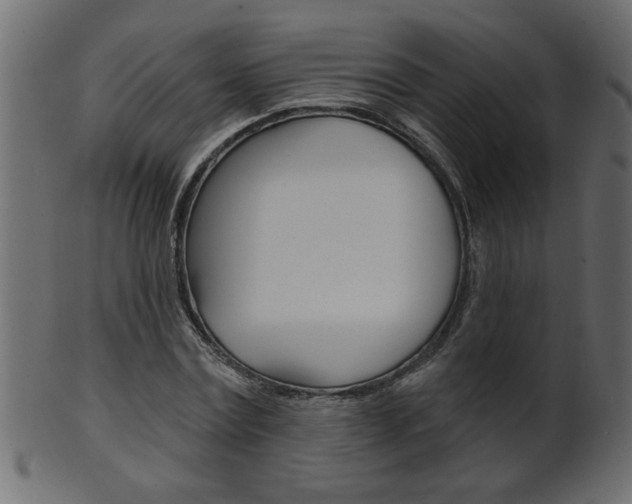 X0000102020779200807180942