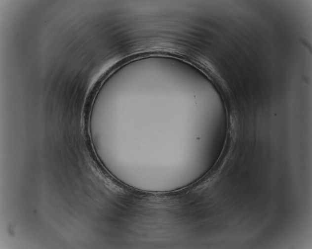X0000102020780200807180942
