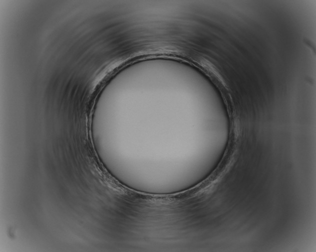X0000102020781200807180942