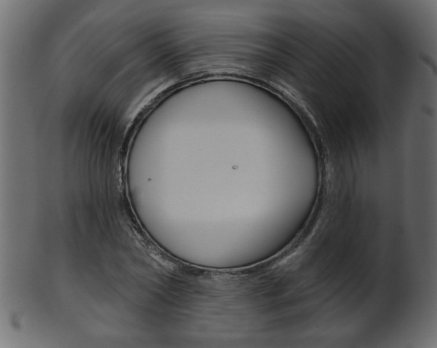 X0000102020782200807180942