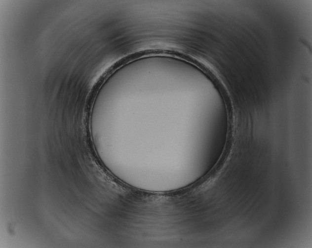 X0000102020783200807180942