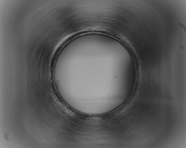 X0000102020784200807180942