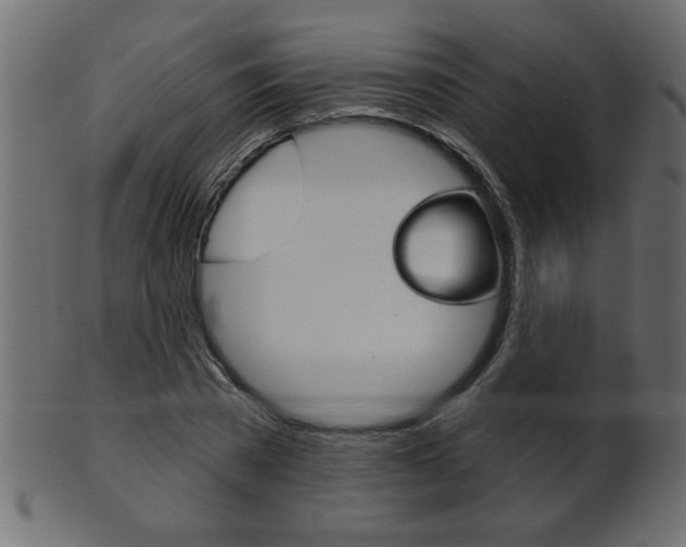 X0000102020785200807180942