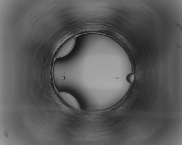 X0000102020786200807180942