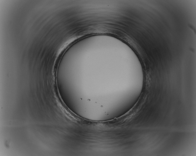 X0000102020787200807180942