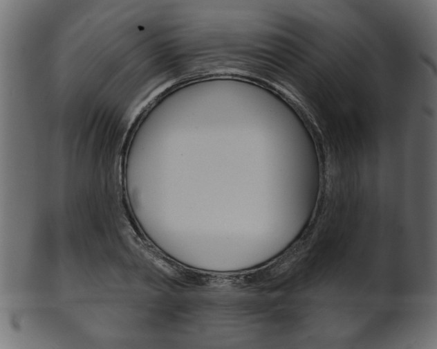 X0000102020790200807180942