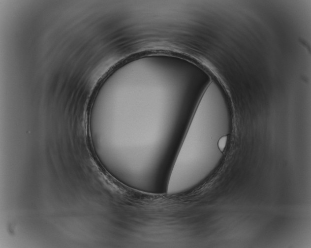 X0000102020791200807180942