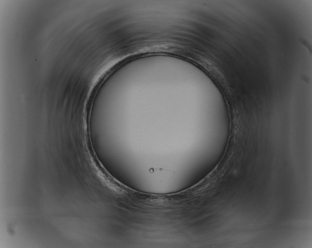 X0000102020792200807180942