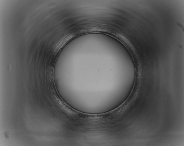 X0000102020793200807180942