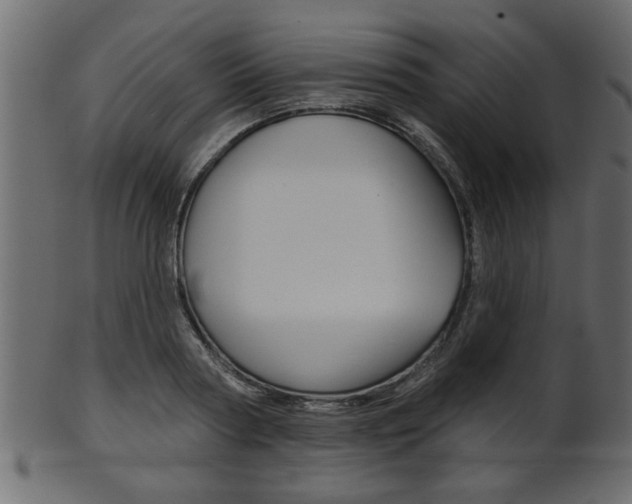 X0000102020794200807180942