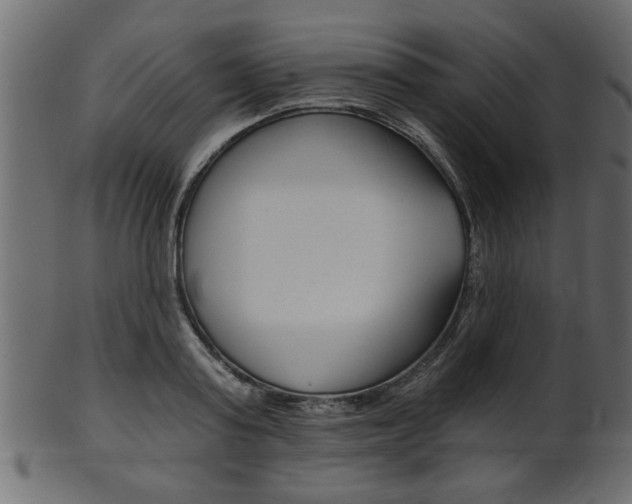X0000102020795200807180942