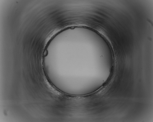 X0000102020797200807180942