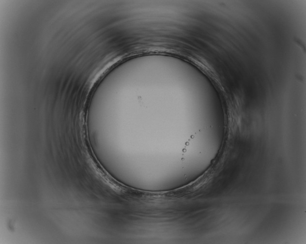 X0000102020798200807180942