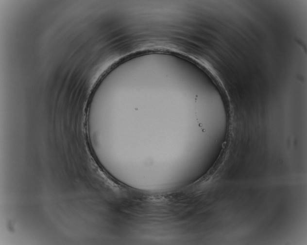 X0000102020799200807180942