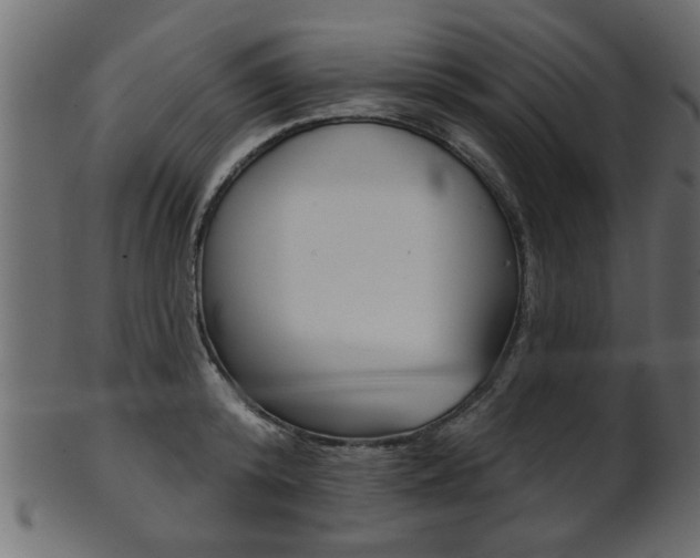 X0000102020800200807180942