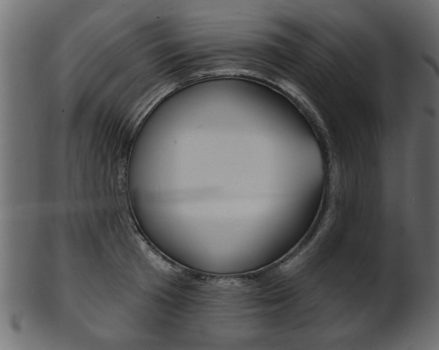 X0000102020801200807180942