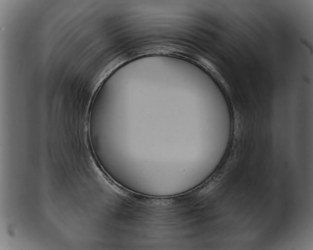 X0000102020802200807180942
