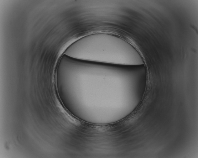 X0000102020803200807180942