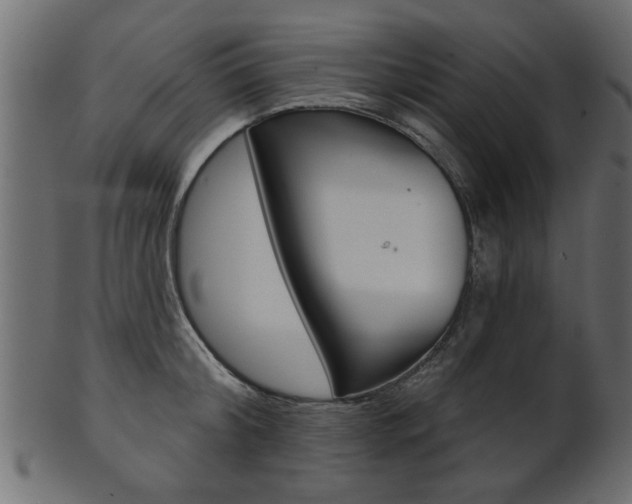 X0000102020804200807180942