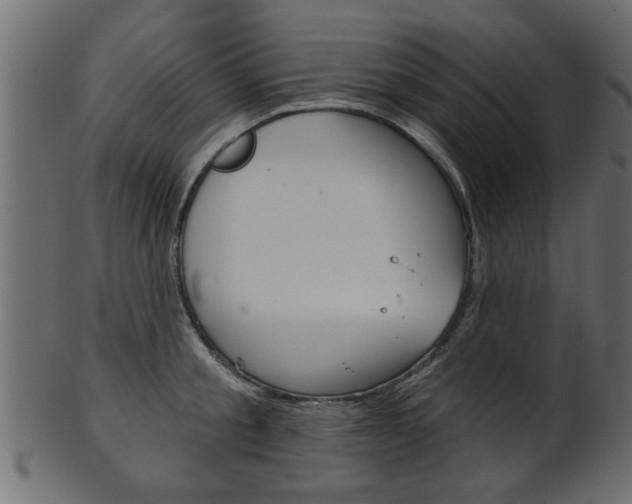 X0000102020805200807180942