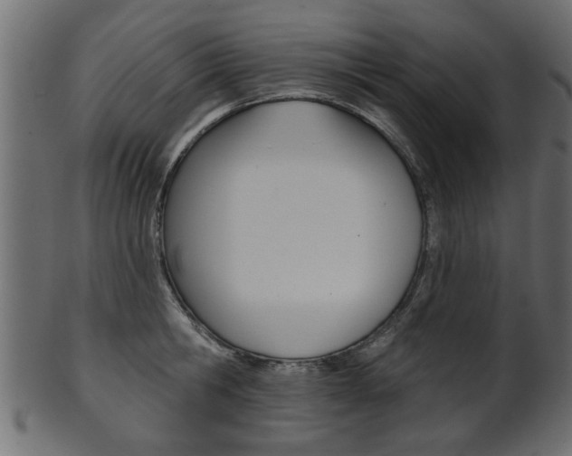 X0000102020806200807180942