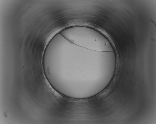 X0000102020807200807180942