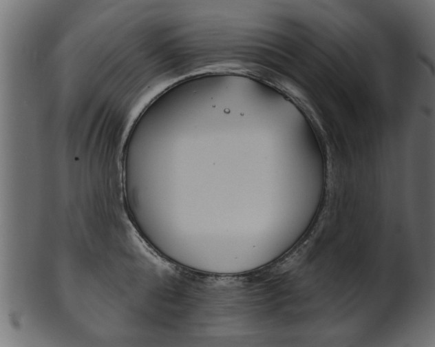 X0000102020808200807180942