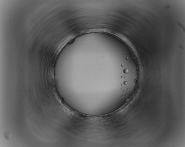X0000102020809200807180942