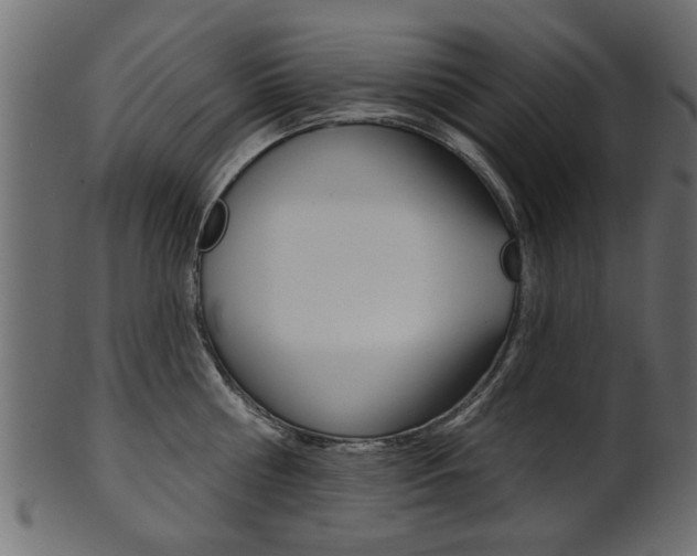 X0000102020810200807180942