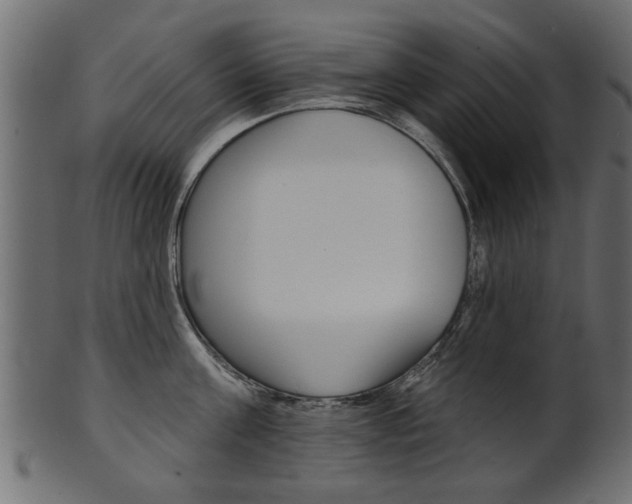 X0000102020811200807180942