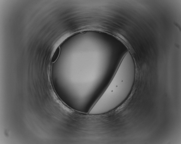 X0000102020812200807180942