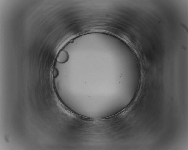 X0000102020814200807180941
