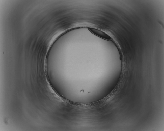 X0000102020815200807180941