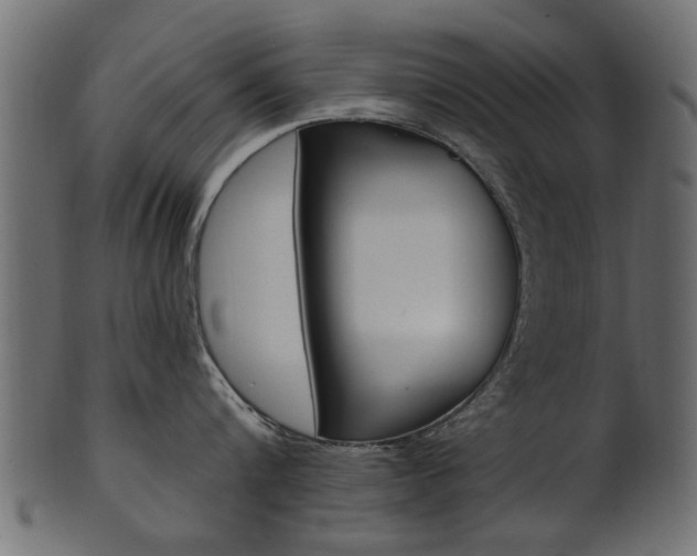 X0000102020816200807180941