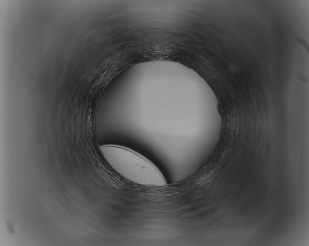 X0000102020818200807180941