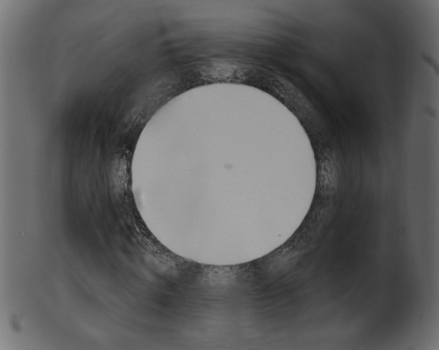 X0000102020820200807180941