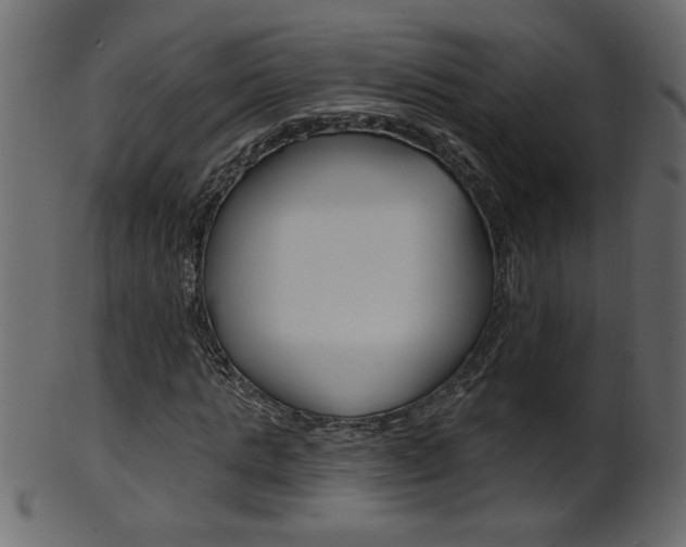 X0000102020821200807180941