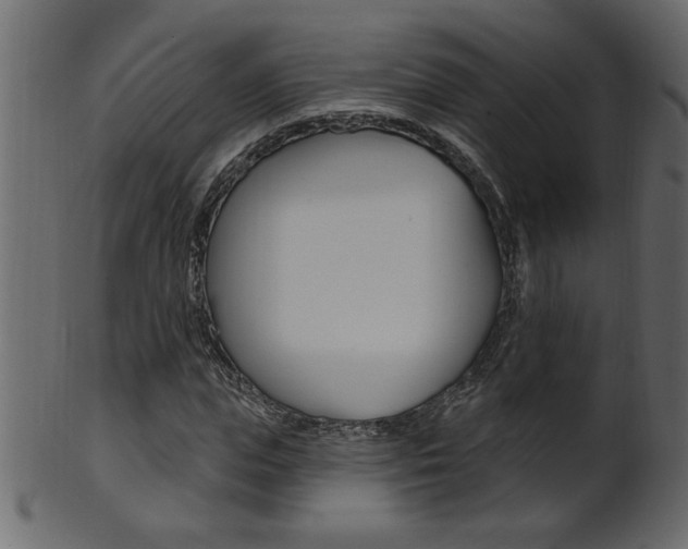 X0000102020823200807180941