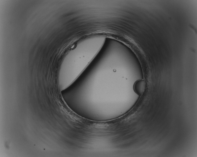 X0000102020825200807180941