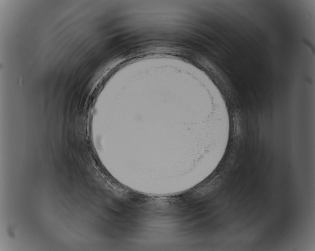 X0000102020828200807180941