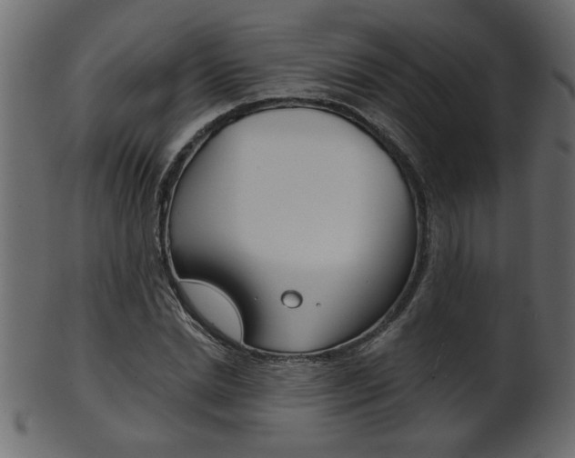 X0000102020830200807180941