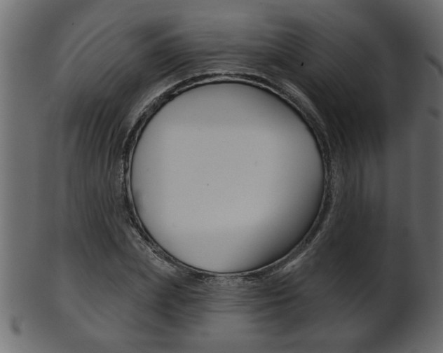 X0000102020831200807180941