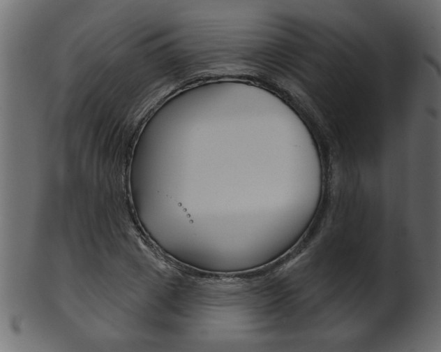 X0000102020833200807180941