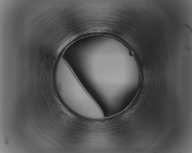 X0000102020834200807180941