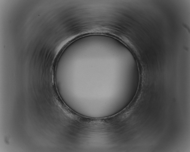 X0000102020838200807180941
