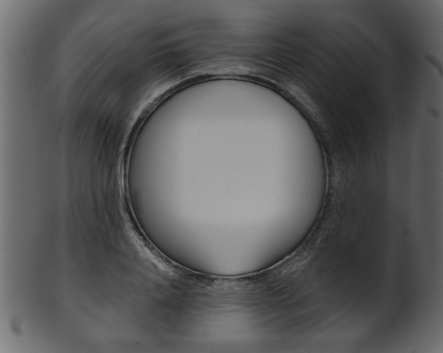 X0000102020840200807180941
